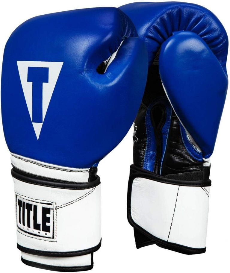 10 Best Title Boxing Gloves 2020 Reviews - Boxing Components